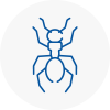 Ant Removals In Clacton