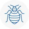 Bed Bug Extermination In Clacton