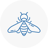 Bee Nest Removal Clacton