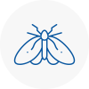 Moth Control Specialists In Clacton