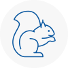 Clacton Rodent Removals